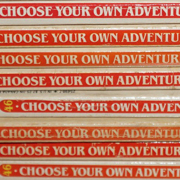 Choose Your Adventure Pic